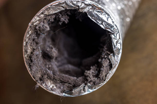 Best Professional Duct Cleaning Services  in Belwood, NC