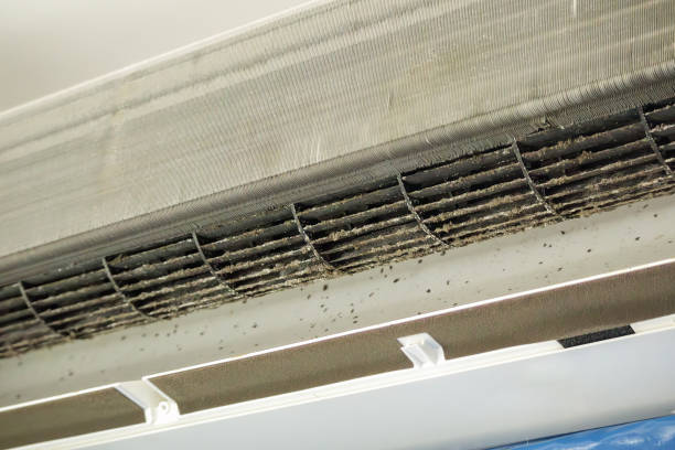 Best Affordable Duct Cleaning Services  in Belwood, NC